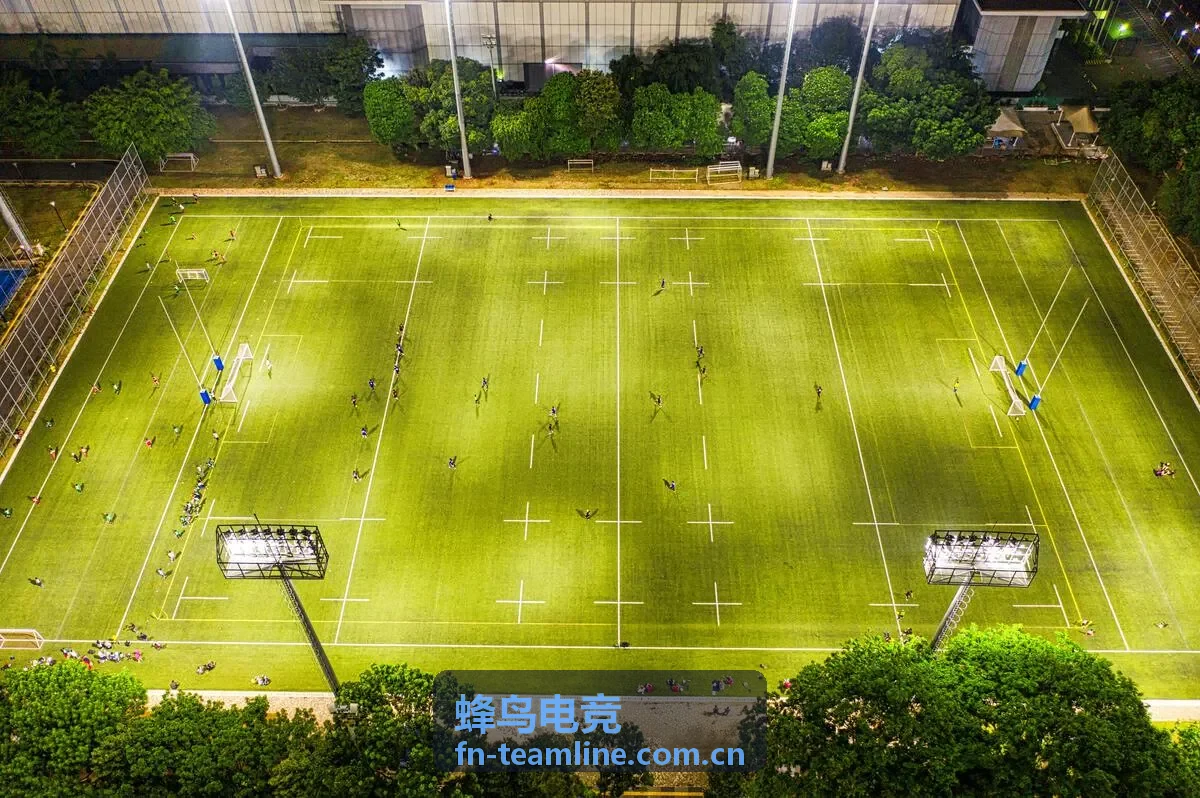 蜂鸟电竞内容编辑整理赛事攻略